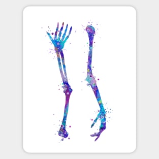 Arm Bones Watercolor Sticker